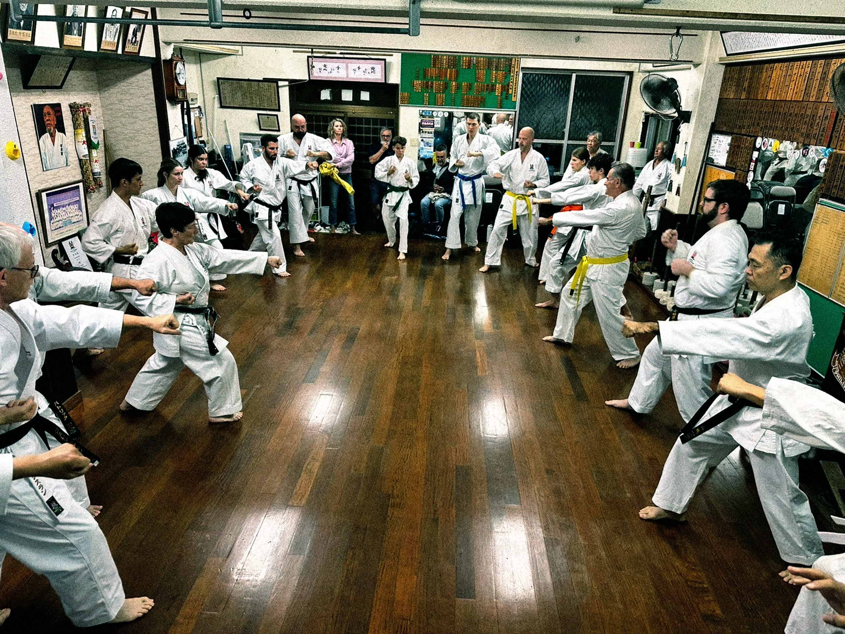 Shubukan Official Online Dojo Authentic Okinawan Shorin ryu Karate SUI Shubukan Official Online Dojo Authentic Okinawan Shorin ryu Karate SUI